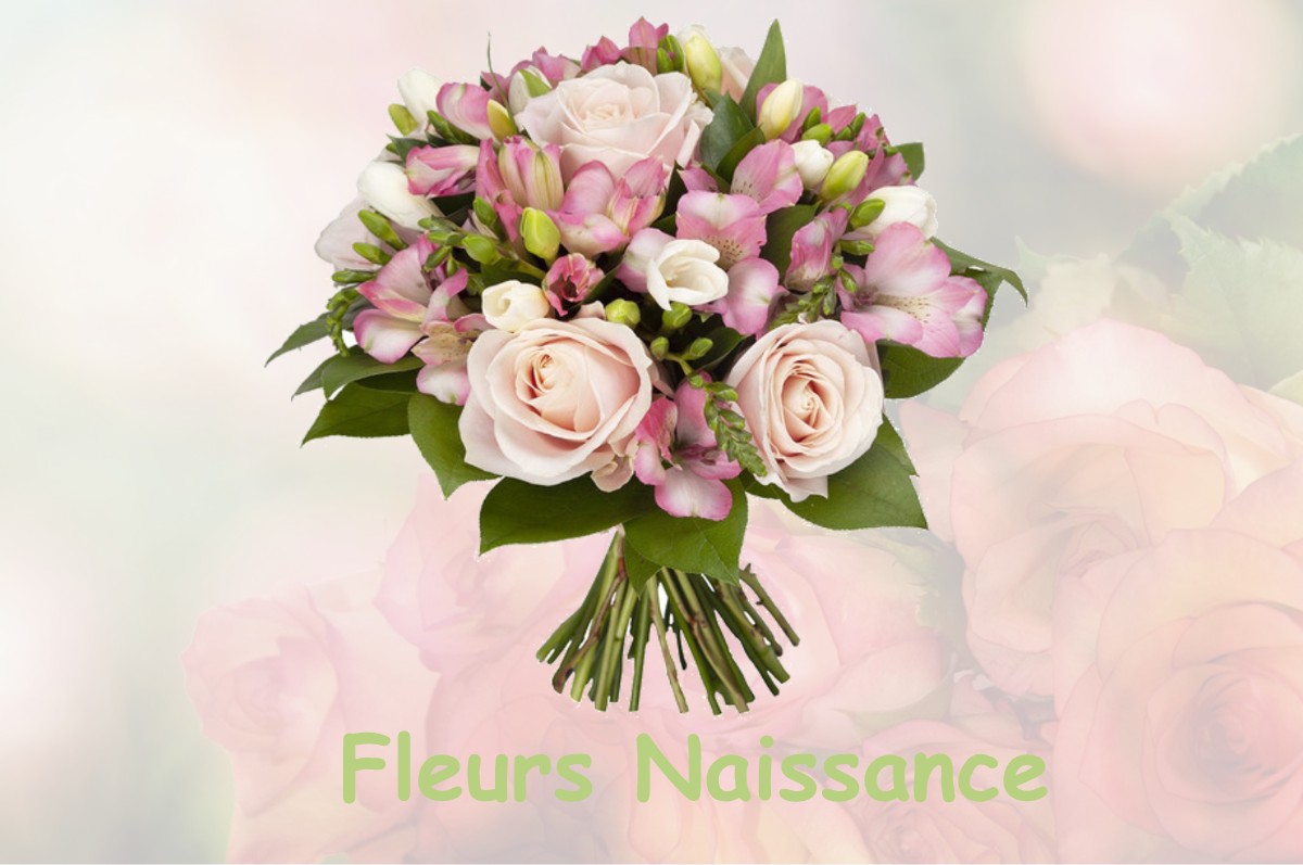 fleurs naissance TRIGUERES