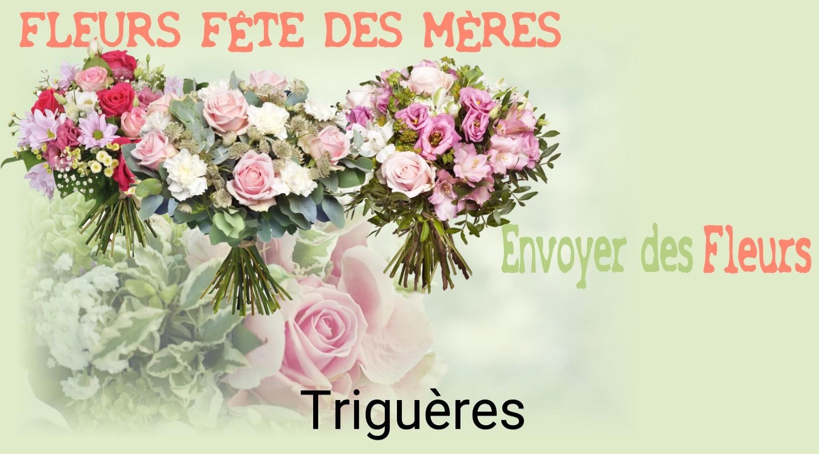 Bouquet de Fête des Mères livré à Triguères